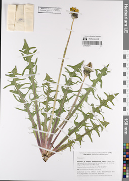 LE 01202271