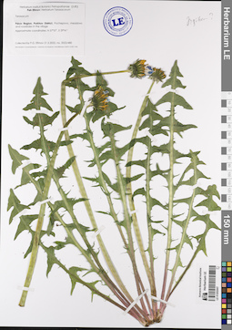 LE 01202447