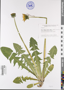 LE 01202503
