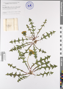 LE 01202634