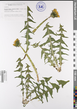 LE 01203028