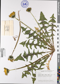 LE 01203074