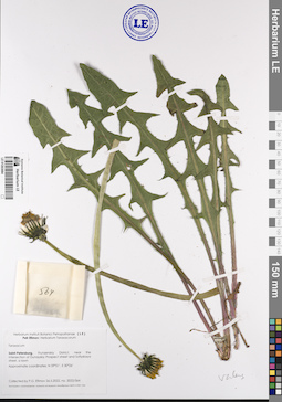 LE 01203084