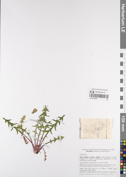 LE 01207249
