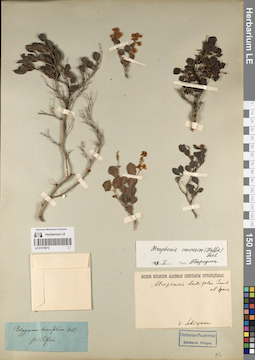 LE 01219212