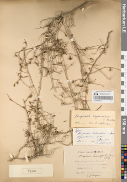 LE 01219213