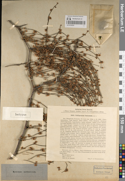 LE 01219216