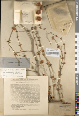 LE 01219219