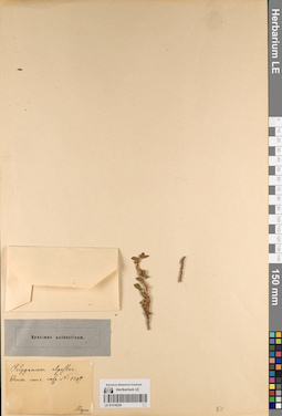 LE 01219224