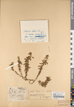 LE 01219225