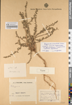 LE 01219226