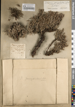 LE 01219239