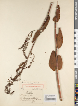 LE 01219244