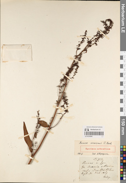 LE 01219245