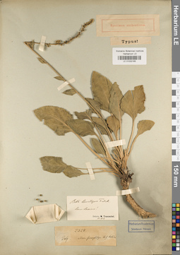 LE 01032165