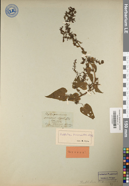 LE 01042927