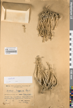 LE 01219254