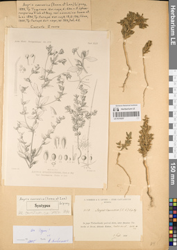 LE 01219257