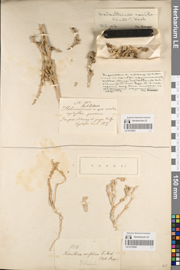 LE 01219261