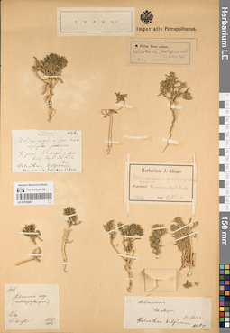LE 01219268