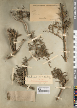 LE 01219269