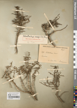 LE 01219270
