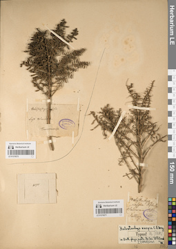 LE 01219272