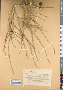 LE 01219273