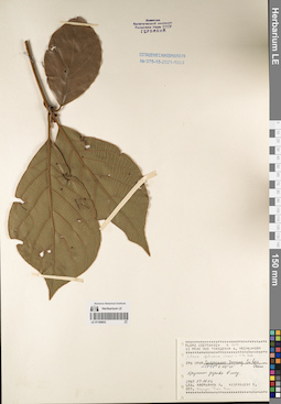 LE 01169853