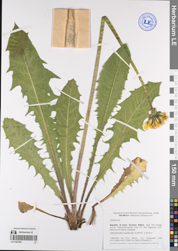 LE 01201229