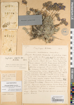 LE 01188123