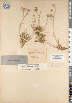 LE 01024091