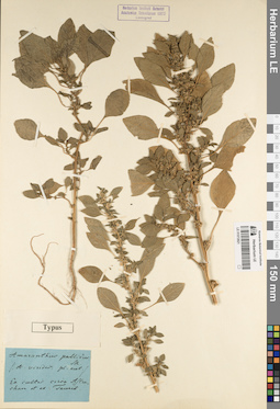 LE 01072821