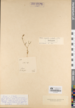 LE 01051369