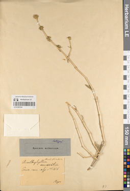 LE 01207254