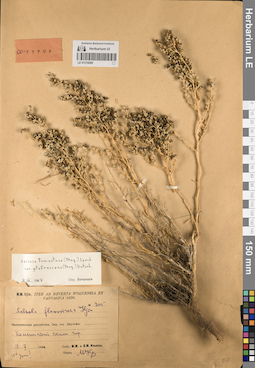 LE 01219285