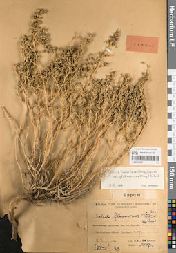 LE 01219287