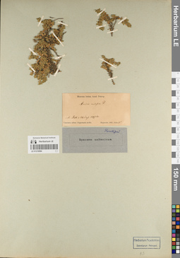 LE 01219594