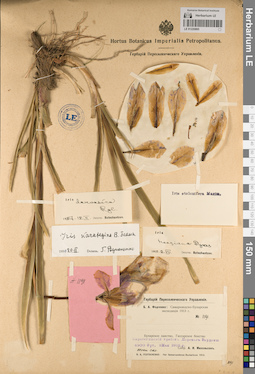 LE 01220895