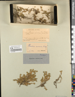LE 01219595