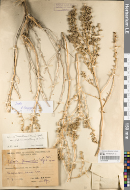 LE 01219289