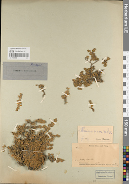 LE 01219596