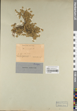 LE 01219597