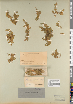 LE 01219598