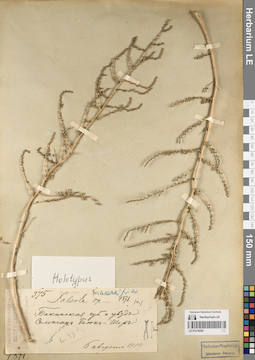 LE 01219292