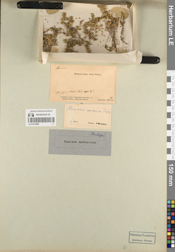 LE 01219599