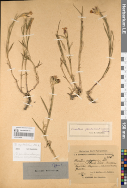 LE 01219529