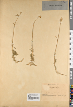 LE 01219688