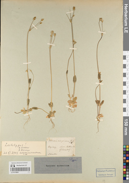 LE 01219604