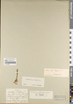 LE 01219606